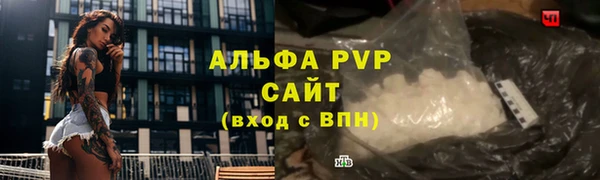 крисы Осташков