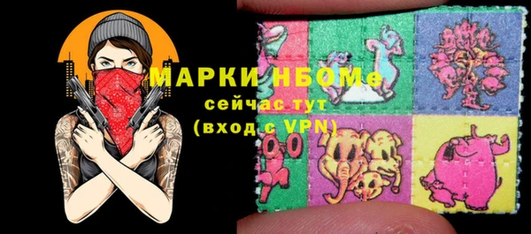 индика Няндома