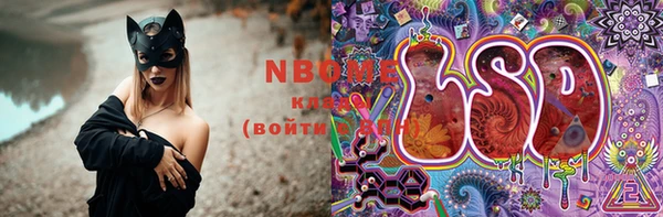 крисы Осташков